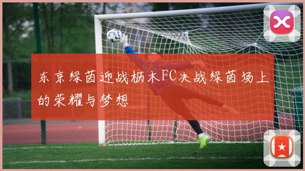 东京绿茵迎战枥木FC决战绿茵场上的荣耀与梦想