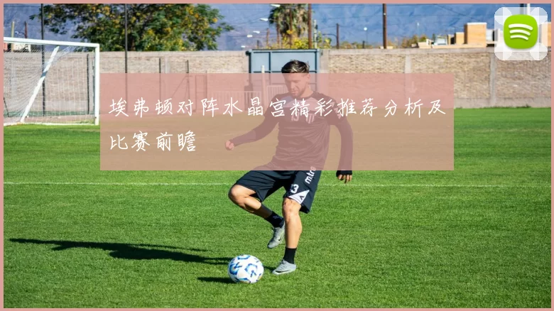 埃弗顿对阵水晶宫精彩推荐分析及比赛前瞻