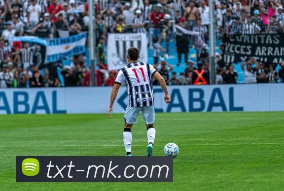 MK体育APP 封面图